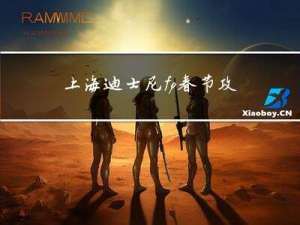 上海迪士尼fp春节攻略