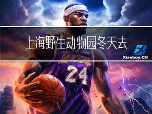 上海野生动物园冬天去好玩吗