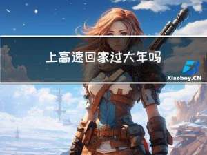 上高速回家过大年吗