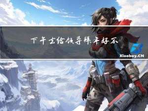 下午去给领导拜年好不好