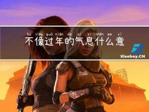不像过年的气息什么意思