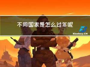 不同国家是怎么过年呢图片