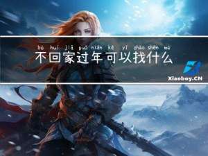 不回家过年可以找什么