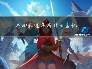 不回家过年有什么商机嘛