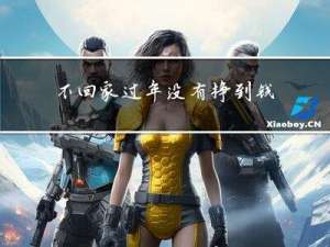 不回家过年没有挣到钱吗