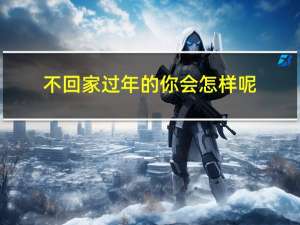 不回家过年的你会怎样呢