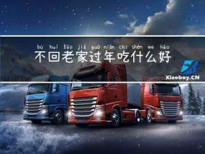 不回老家过年吃什么好