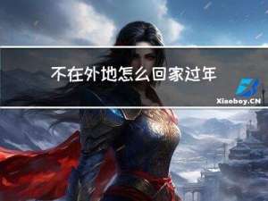 不在外地怎么回家过年作文