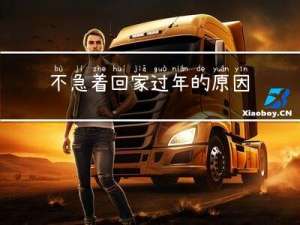 不急着回家过年的原因是