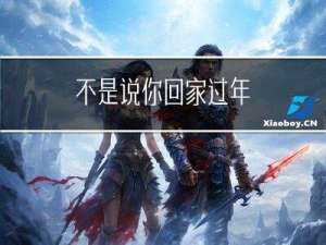 不是说你回家过年