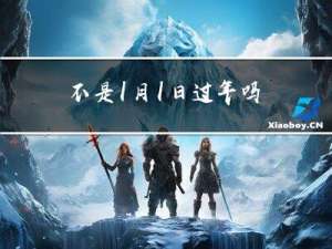 不是1月1日过年吗