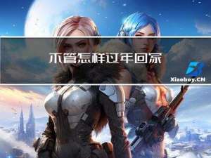 不管怎样过年回家