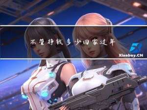 不管挣钱多少回家过年就好
