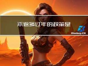 不返乡过年的政策是