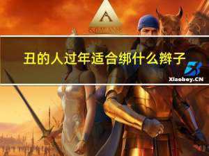 丑的人过年适合绑什么辫子