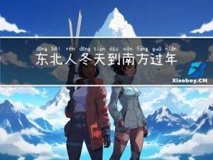 东北人冬天到南方过年吗