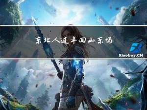 东北人过年回山东吗