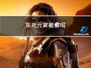 东北元宵能煮吗