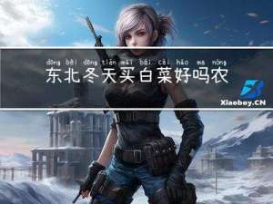 东北冬天买白菜好吗农村