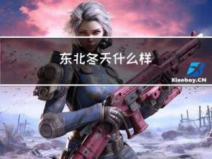 东北冬天什么样
