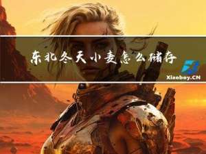 东北冬天小麦怎么储存更好