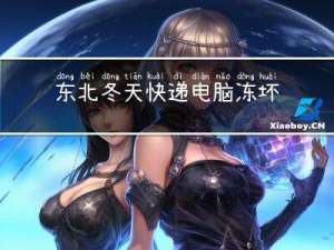 东北冬天快递电脑冻坏