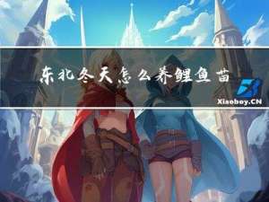 东北冬天怎么养鲤鱼苗