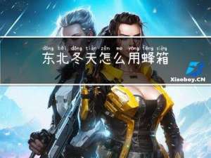 东北冬天怎么用蜂箱