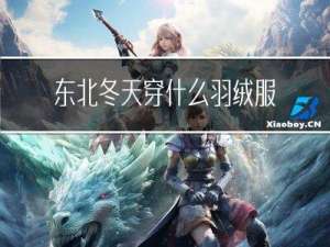 东北冬天穿什么羽绒服