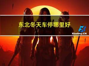 东北冬天车停哪里好