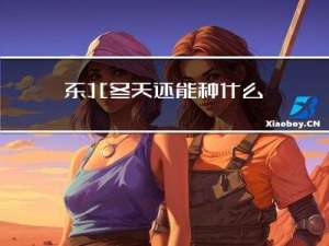 东北冬天还能种什么