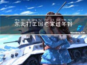 东北打工回老家过年好吗