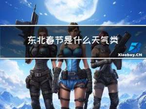东北春节是什么天气类型