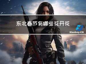 东北春节有哪些花开花