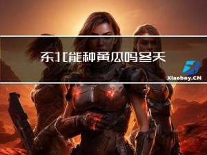 东北能种黄瓜吗冬天