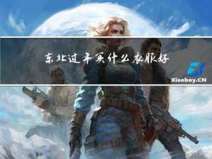 东北过年买什么衣服好卖