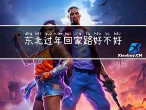 东北过年回家路好不好