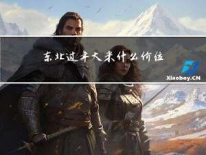 東北過年大米什么價位