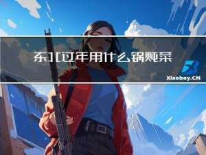 东北过年用什么锅炖菜最好