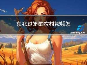 东北过年的农村视频怎么拍