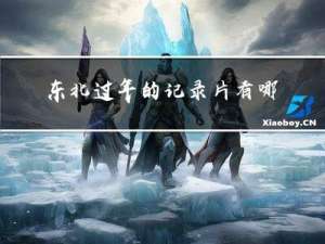 东北过年的记录片有哪些