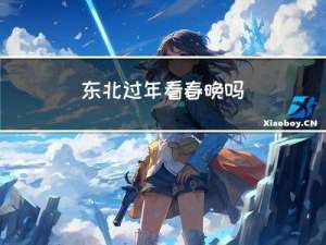 东北过年看春晚吗