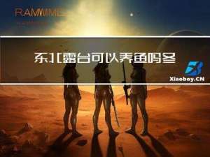 东北露台可以养鱼吗冬天