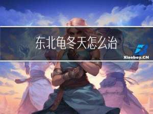 东北龟冬天怎么治