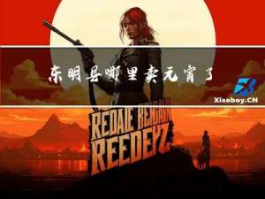 东明县哪里卖元宵了