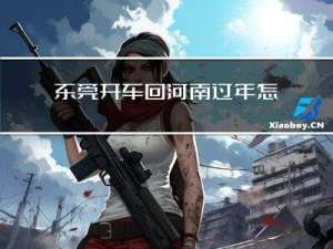 东莞开车回河南过年怎么样