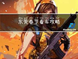 东莞春节看车攻略
