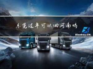 东莞过年可以回河南吗吗