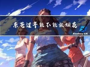 东莞过年能不能放烟花