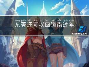 东莞还可以回海南过年吗